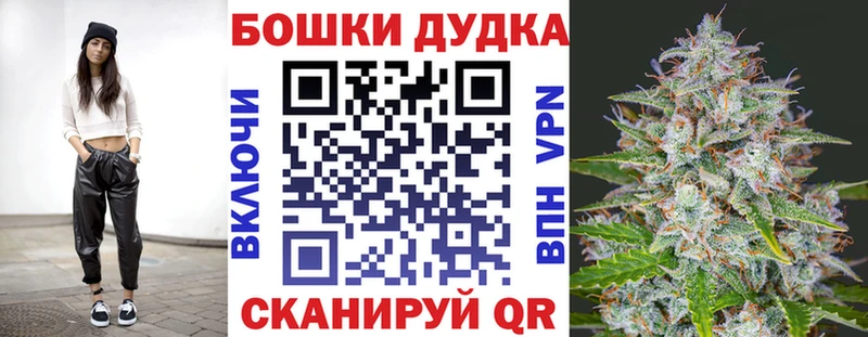 как найти наркотики  Новокубанск  Бошки Шишки Ganja 